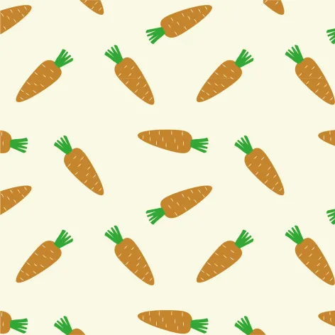 on white.webp Transfer Sheets; Carrots - Bag of 30